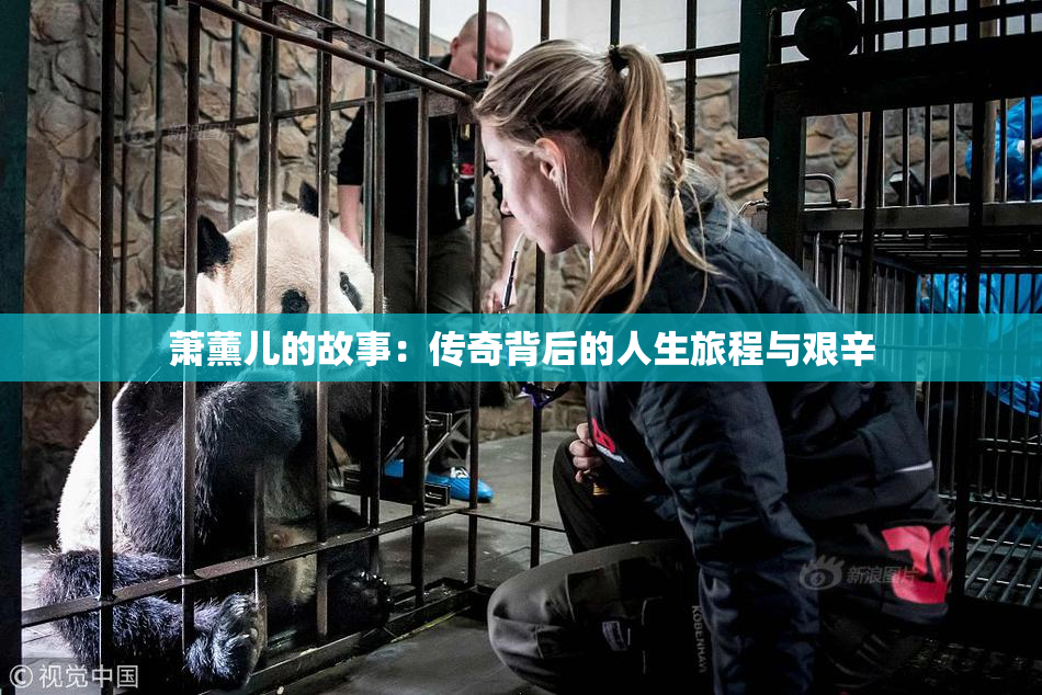萧薰儿的故事：传奇背后的人生旅程与艰辛