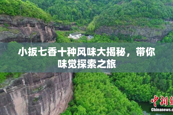 小扳七香十种风味大揭秘，带你味觉探索之旅