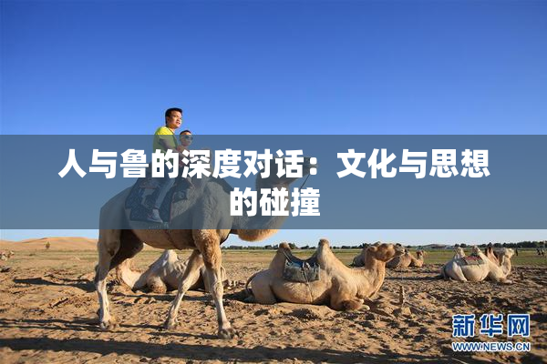 人与鲁的深度对话：文化与思想的碰撞