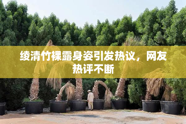 绫清竹裸露身姿引发热议，网友热评不断