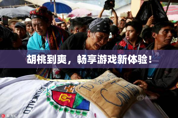 胡桃到爽，畅享游戏新体验！