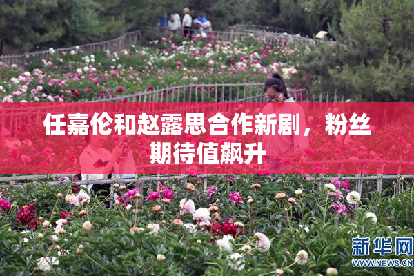 任嘉伦和赵露思合作新剧，粉丝期待值飙升