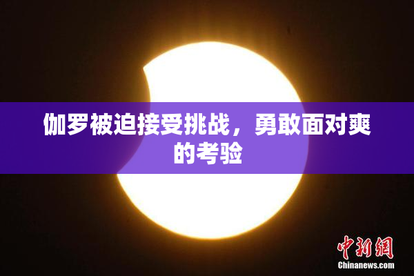 伽罗被迫接受挑战，勇敢面对爽的考验