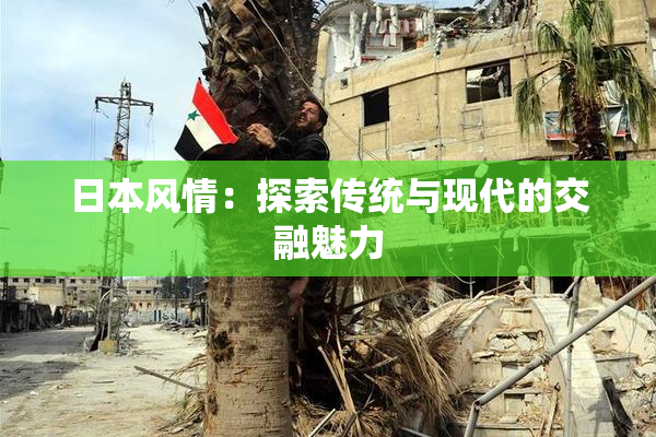 日本风情：探索传统与现代的交融魅力