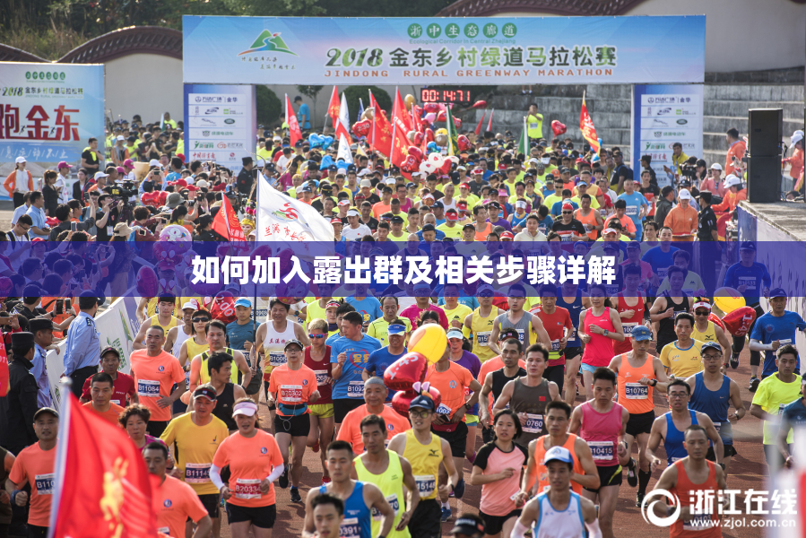 如何加入露出群及相关步骤详解