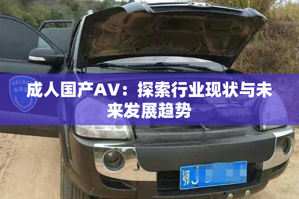 成人国产AV：探索行业现状与未来发展趋势