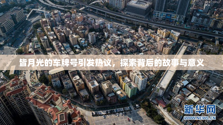皆月光的车牌号引发热议，探索背后的故事与意义