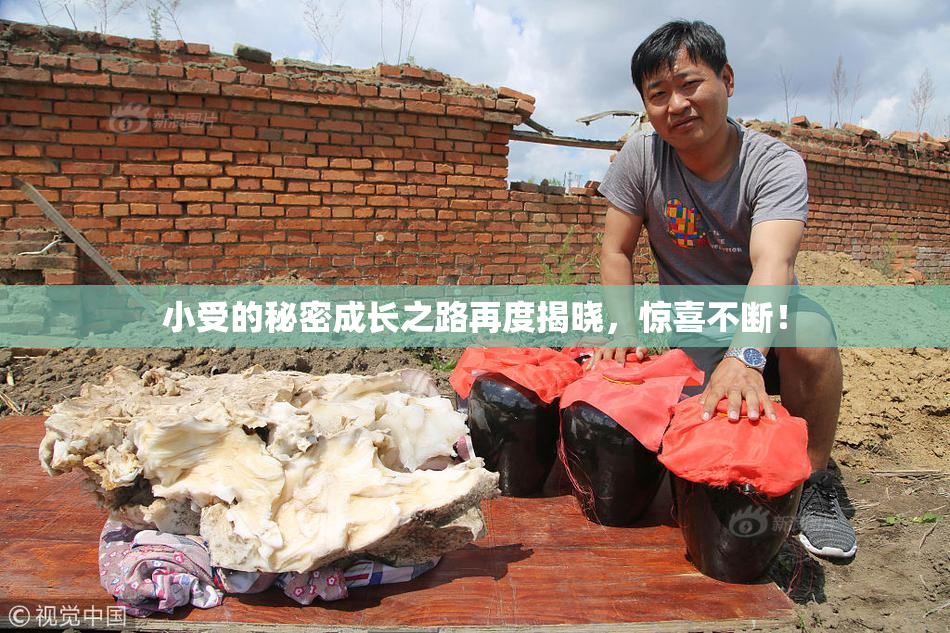 小受的秘密成长之路再度揭晓，惊喜不断！