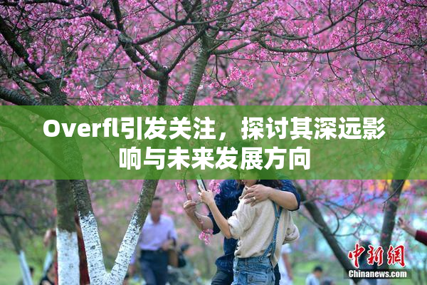 Overfl引发关注，探讨其深远影响与未来发展方向