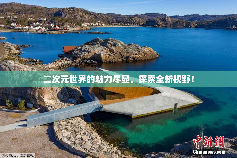 二次元世界的魅力尽显，探索全新视野！
