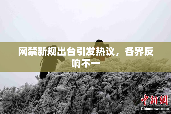 网禁新规出台引发热议，各界反响不一