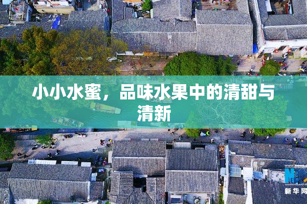 小小水蜜，品味水果中的清甜与清新