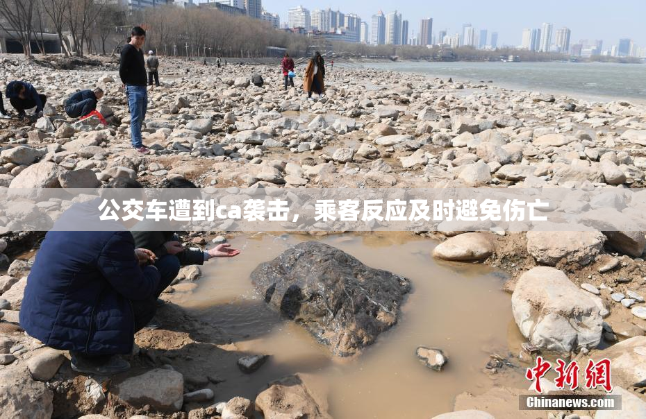 公交车遭到ca袭击，乘客反应及时避免伤亡