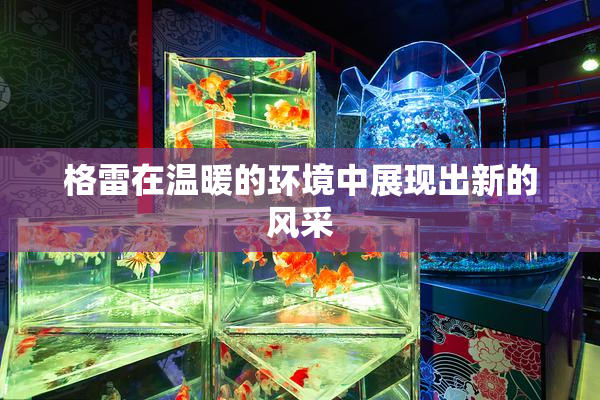 格雷在温暖的环境中展现出新的风采