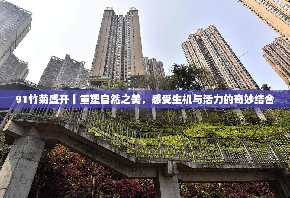 91竹菊盛开丨重塑自然之美，感受生机与活力的奇妙结合