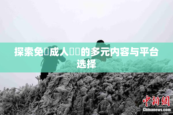 探索免費成人視頻的多元内容与平台选择