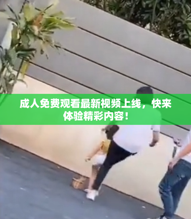 成人免费观看最新视频上线，快来体验精彩内容！