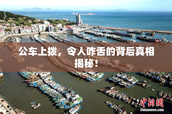 公车上拨，令人咋舌的背后真相揭秘！