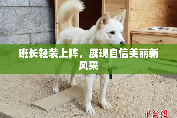 班长轻装上阵，展现自信美丽新风采