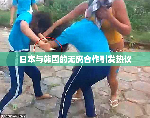 日本与韩国的无码合作引发热议