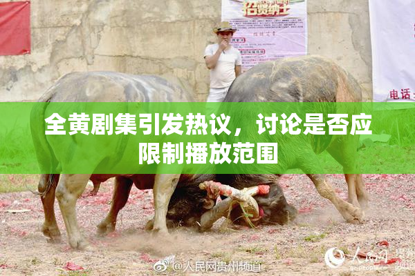 全黄剧集引发热议，讨论是否应限制播放范围