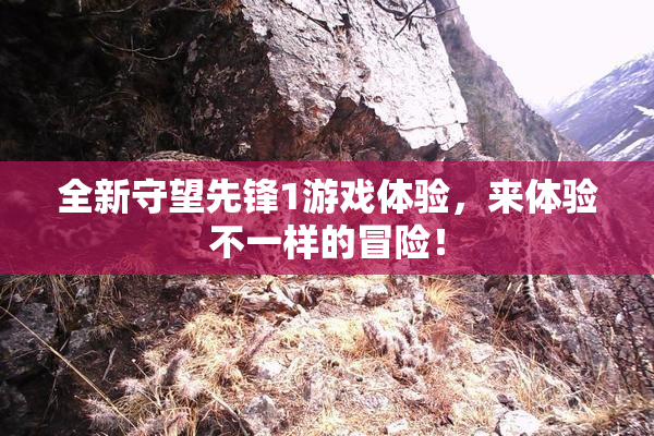 全新守望先锋1游戏体验，来体验不一样的冒险！
