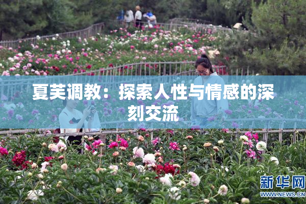 夏芙调教：探索人性与情感的深刻交流