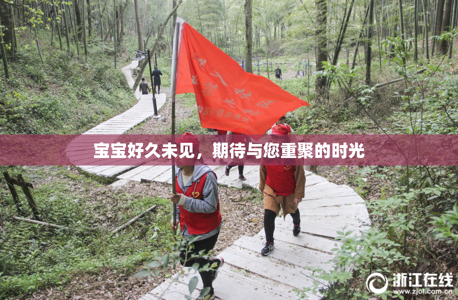 宝宝好久未见，期待与您重聚的时光