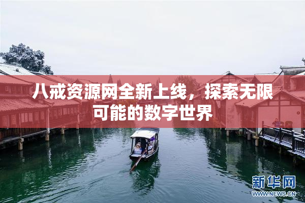 八戒资源网全新上线，探索无限可能的数字世界