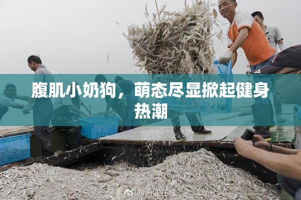 腹肌小奶狗，萌态尽显掀起健身热潮