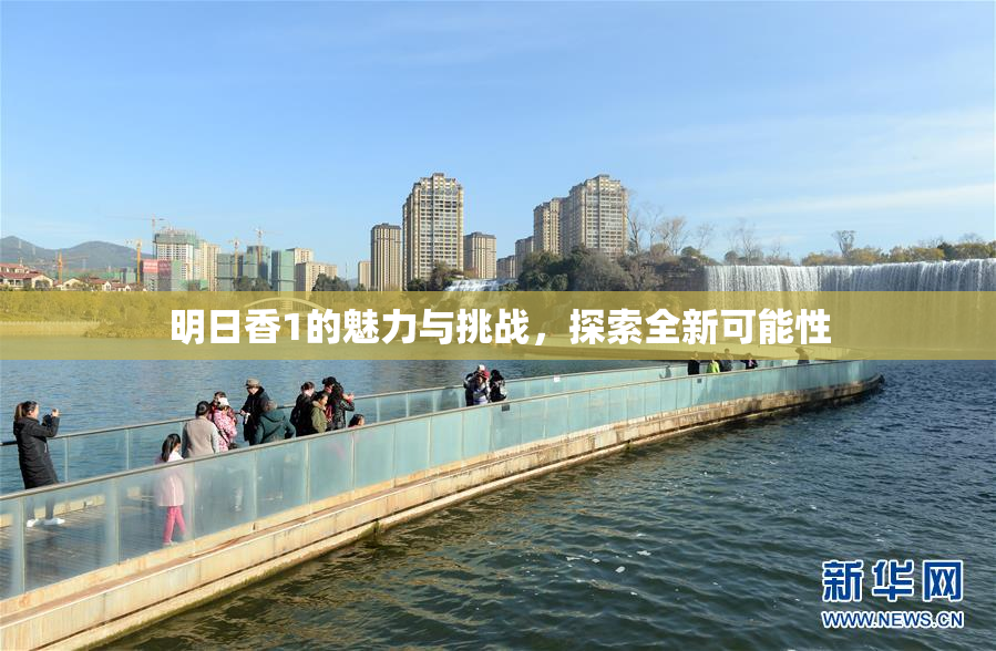 明日香1的魅力与挑战，探索全新可能性