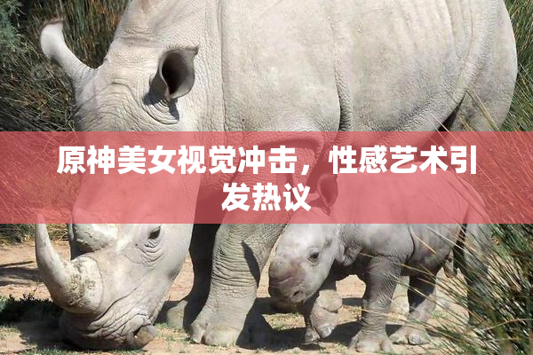 原神美女视觉冲击，性感艺术引发热议