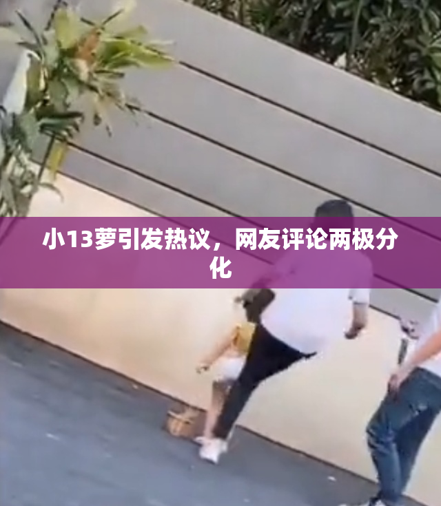 小13萝引发热议，网友评论两极分化