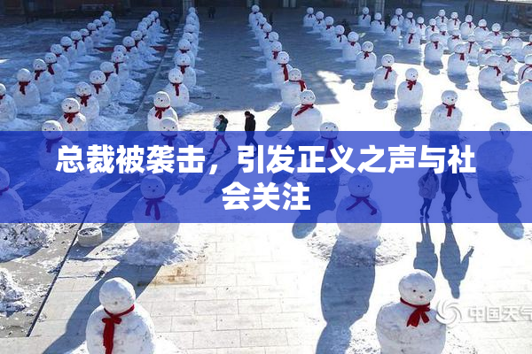 总裁被袭击，引发正义之声与社会关注