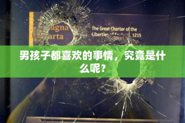男孩子都喜欢的事情，究竟是什么呢？