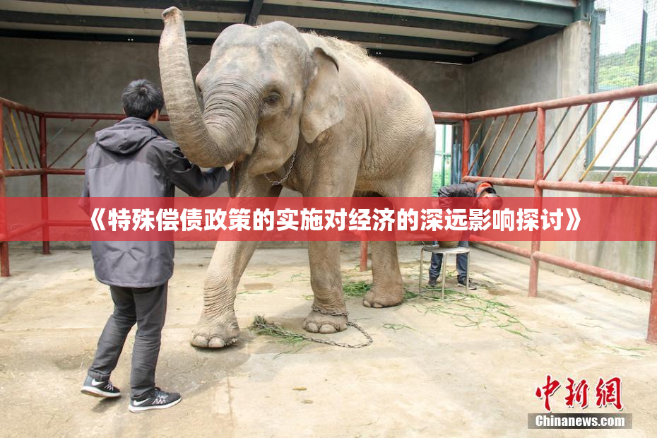《特殊偿债政策的实施对经济的深远影响探讨》