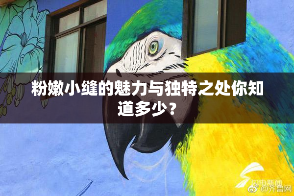 粉嫩小缝的魅力与独特之处你知道多少？