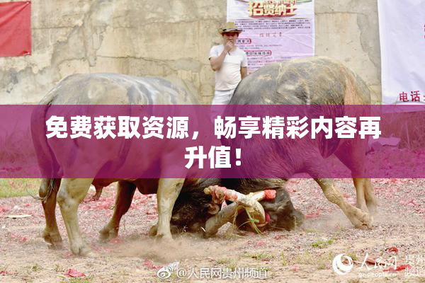 免费获取资源，畅享精彩内容再升值！