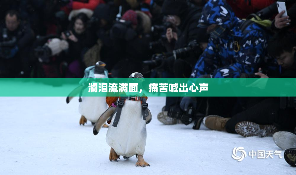 澜泪流满面，痛苦喊出心声