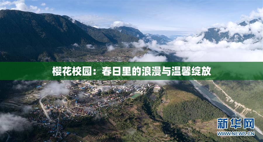 樱花校园：春日里的浪漫与温馨绽放