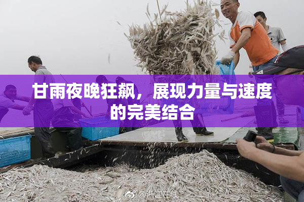 甘雨夜晚狂飙，展现力量与速度的完美结合