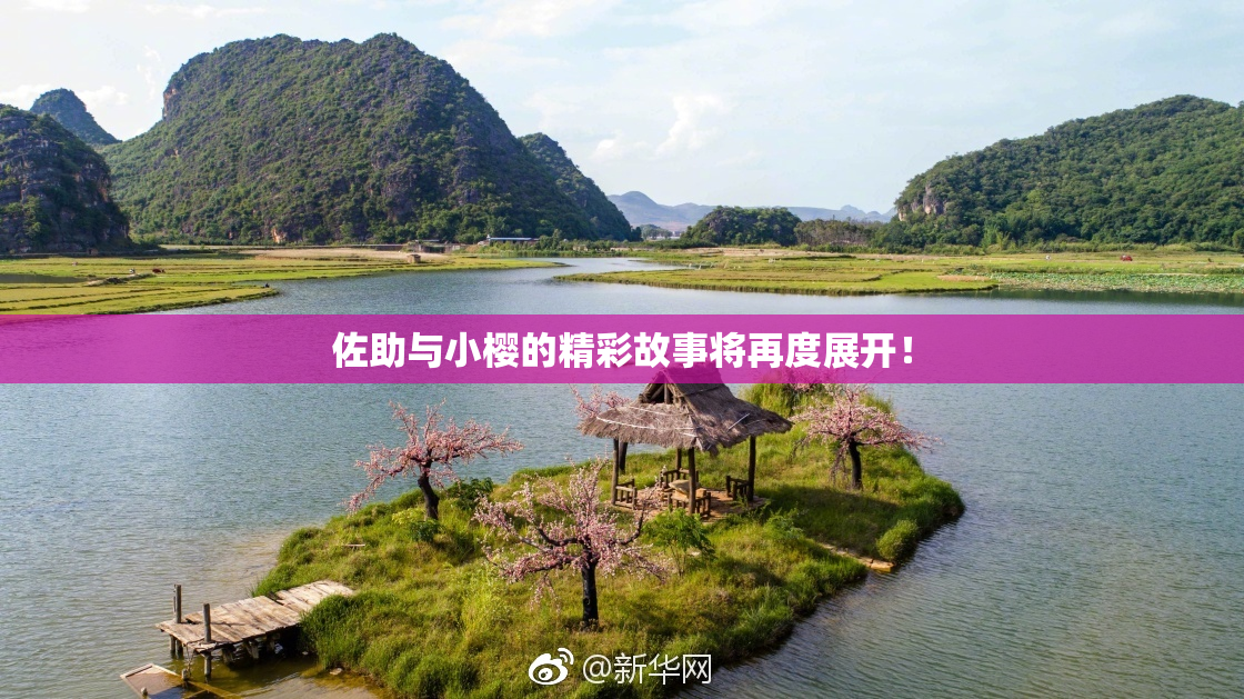 佐助与小樱的精彩故事将再度展开！