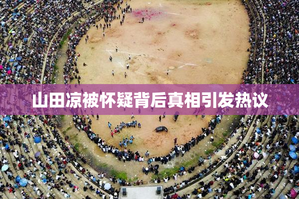 山田凉被怀疑背后真相引发热议