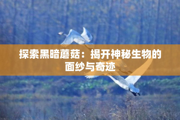 探索黑暗蘑菇：揭开神秘生物的面纱与奇迹
