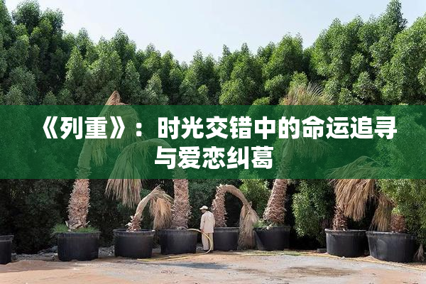 《列重》：时光交错中的命运追寻与爱恋纠葛