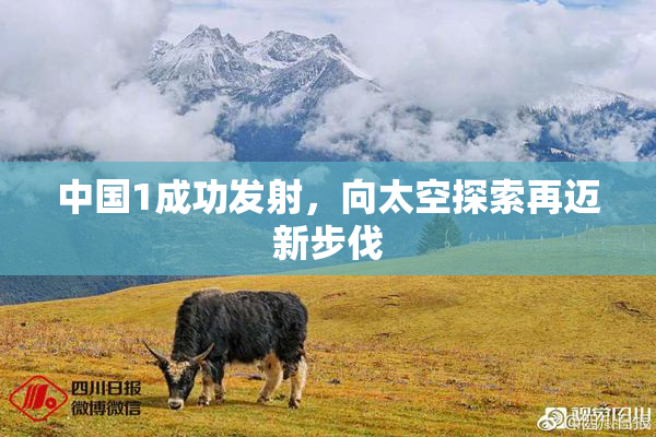 中国1成功发射，向太空探索再迈新步伐