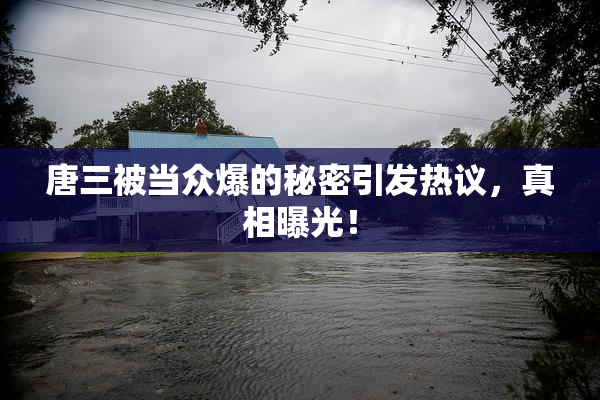 唐三被当众爆的秘密引发热议，真相曝光！