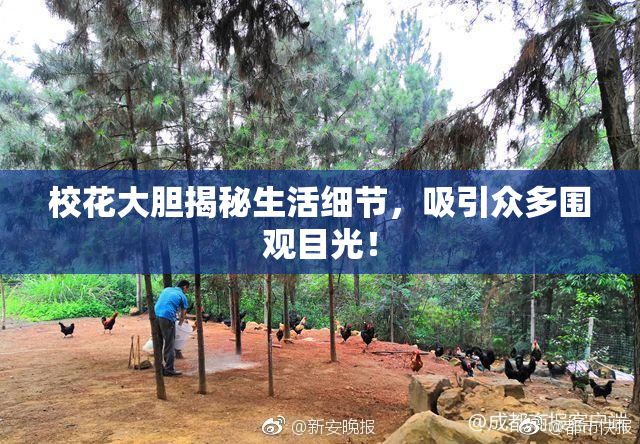 校花大胆揭秘生活细节，吸引众多围观目光！
