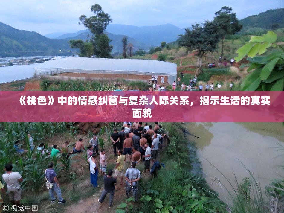 《桃色》中的情感纠葛与复杂人际关系，揭示生活的真实面貌
