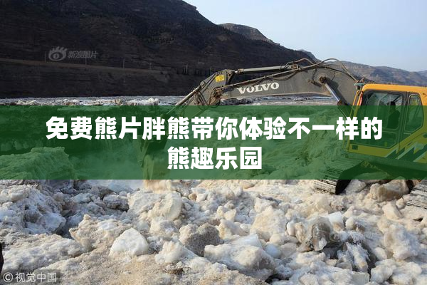 免费熊片胖熊带你体验不一样的熊趣乐园